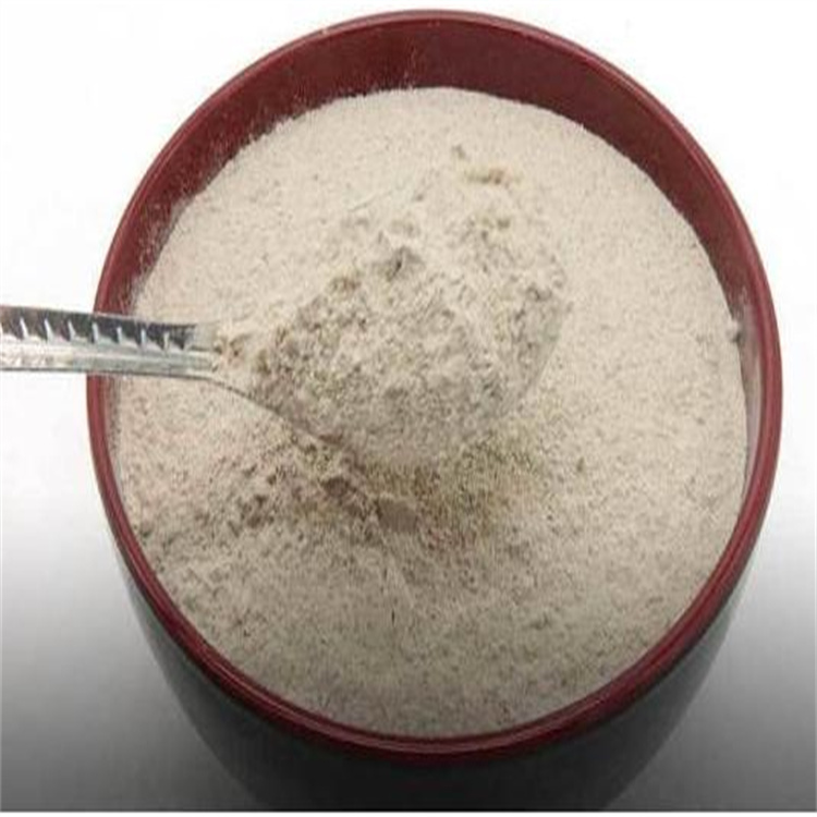 微生物菌種 微生物菌種