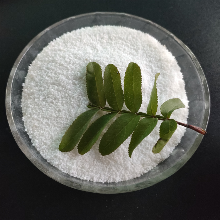 聚丙烯酰胺 聚丙烯酰胺